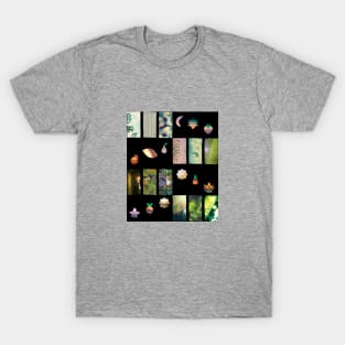 Fruits Collage T-Shirt